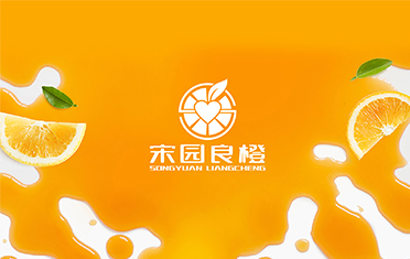 某良橙——辽宁LOGO设计