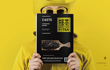 辽宁绯茶品牌设计